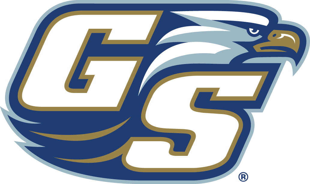 Georgia Southern Eagles 2004-Pres Alternate Logo v2 diy fabric transfer